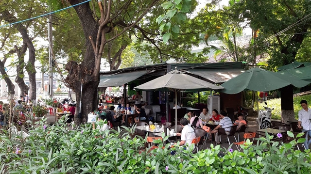 HCM City’s residents lament lack of green space ảnh 1