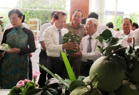 HCM City to enhance new-style rural area criteria quality ảnh 1