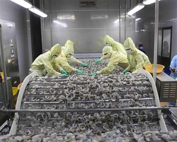 Vietnam’s shrimp export rises slightly in 9 months ảnh 1