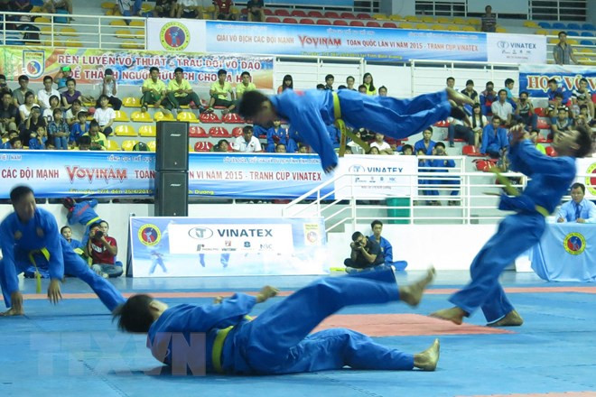 Vietnam’s vovinam takes on the world ảnh 1