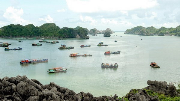 2018 – Successful year for Vietnam’s tourism industry ảnh 1