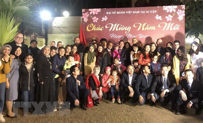 Ambassadors meet with overseas Vietnamese ahead of Tet ảnh 1