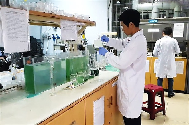 HCM City students find way to grow spirulina at home ảnh 1 HCM City students find way to grow spirulina at home ảnh 1