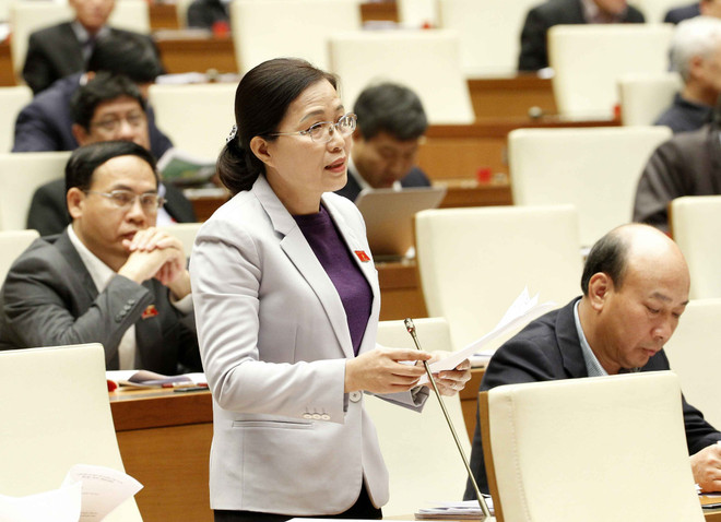 Legislators support appointment of chiefs of special administrative units ảnh 1 Legislators support appointment of chiefs of special administrative units ảnh 1