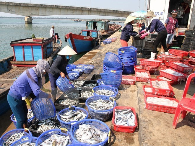 Agro-forestry-fishery exports hit 33 billion USD ảnh 1 Agro-forestry-fishery exports hit 33 billion USD ảnh 1