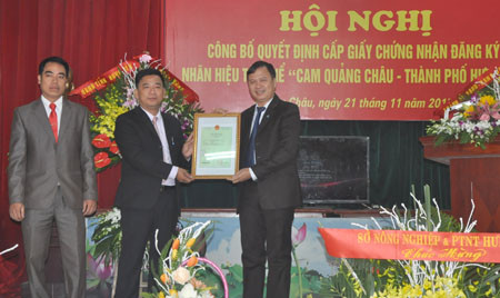Hung Yen orange receives collective brand recognition ảnh 1 Hung Yen orange receives collective brand recognition ảnh 1