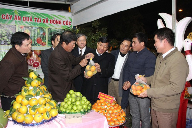  Festival promotes Bac Giang fruit industry ảnh 1