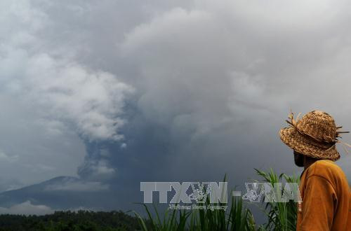 Indonesia: flights cancelled due to volcano eruption ảnh 1