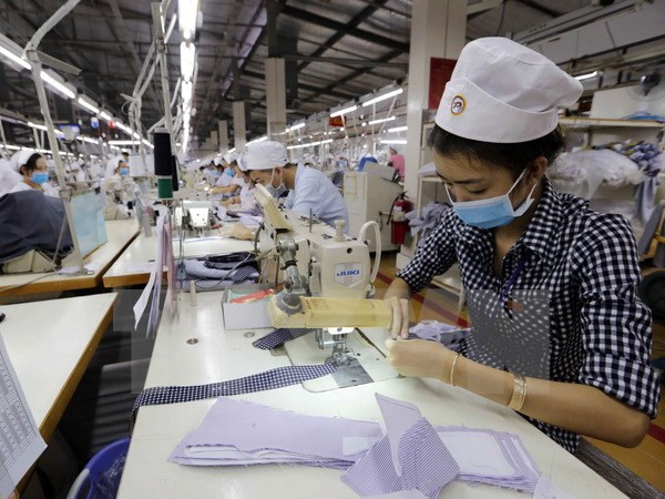 Nearly 11,000 new firms established in November ảnh 1