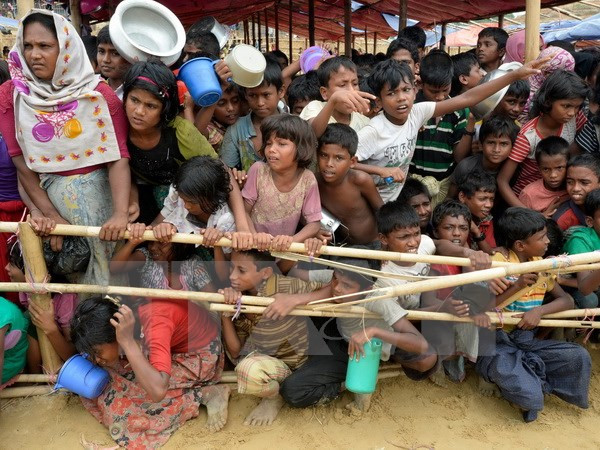 Myanmar, Bangladesh accept solution to Rohingya crisis ảnh 1