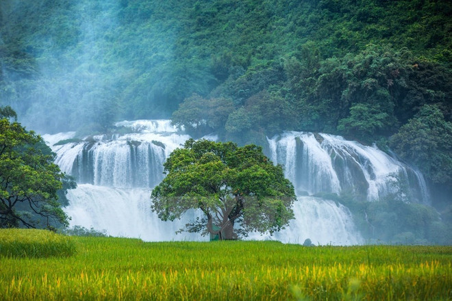 Tourism brings new hope for poverty reduction in Northwest ảnh 4 Tourism brings new hope for poverty reduction in Northwest ảnh 4