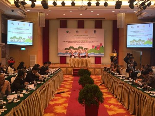 Project to improve resilience to climate change in coastal areas ảnh 1