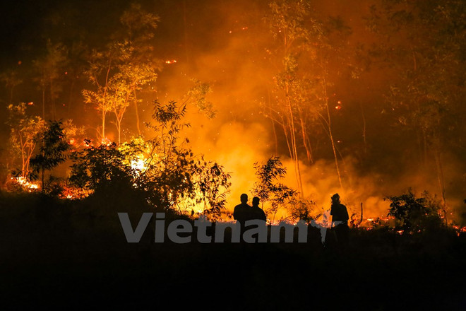 Fire destroys 100ha of forest in Soc Son district ảnh 1 Fire destroys 100ha of forest in Soc Son district ảnh 1