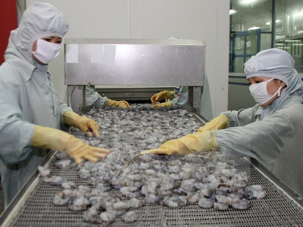 Australia eases shrimp import suspension ảnh 1