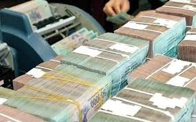 Interest rates remain stable: survey ảnh 1