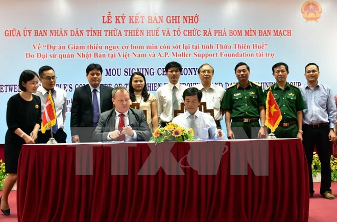 Denmark helps clear leftover ordnance in Thua Thien-Hue ảnh 1