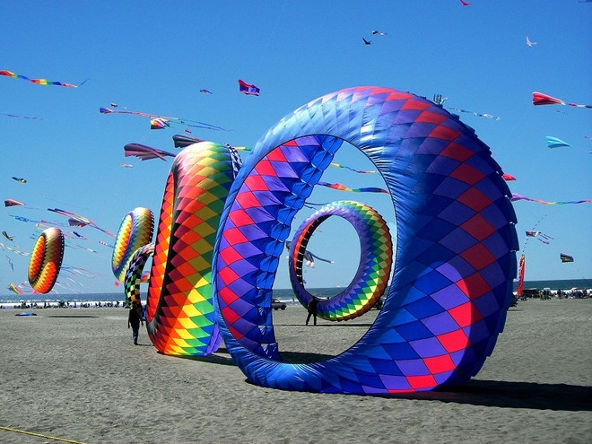 Kites fly high as Quang Nam hosts Heritage Festival ảnh 1