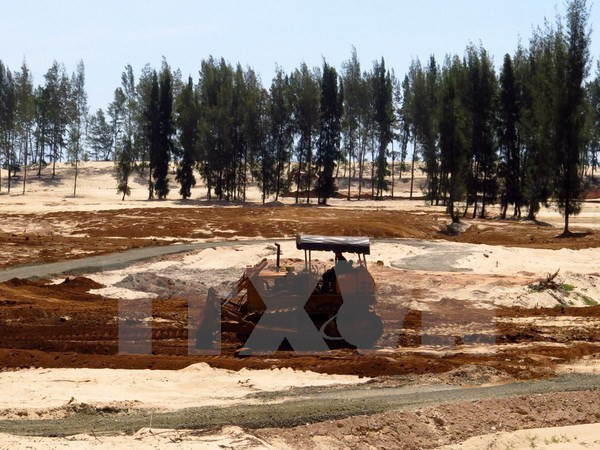 Forestry sector strictly abides by CITES convention ảnh 1