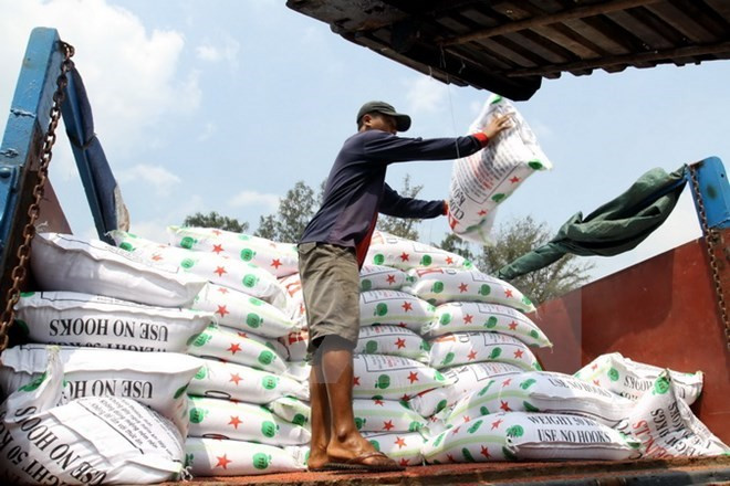 Ministry makes efforts to reduce trade deficit ảnh 1