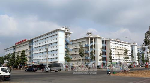 New policies take effect in June ảnh 1