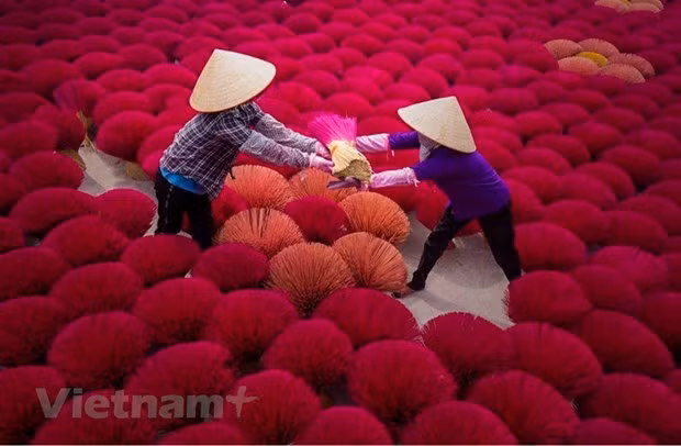 Some famous incense-making villages in Vietnam ảnh 1