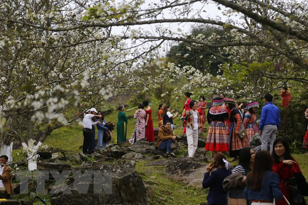 Tuyen Quang developing typical tourism products ảnh 1