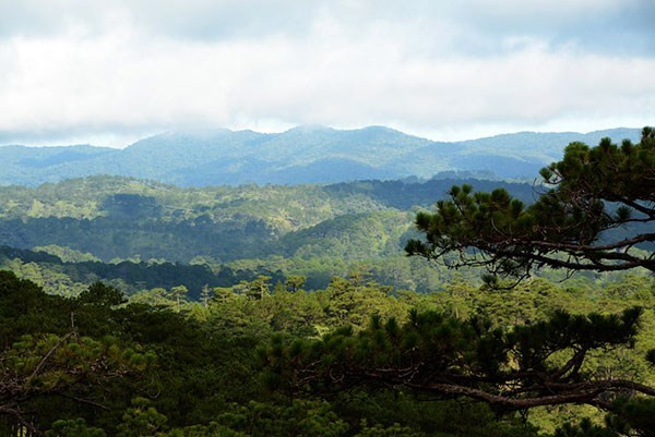 Exploring Langbiang - the first biosphere reserve in Central Highlands ảnh 1