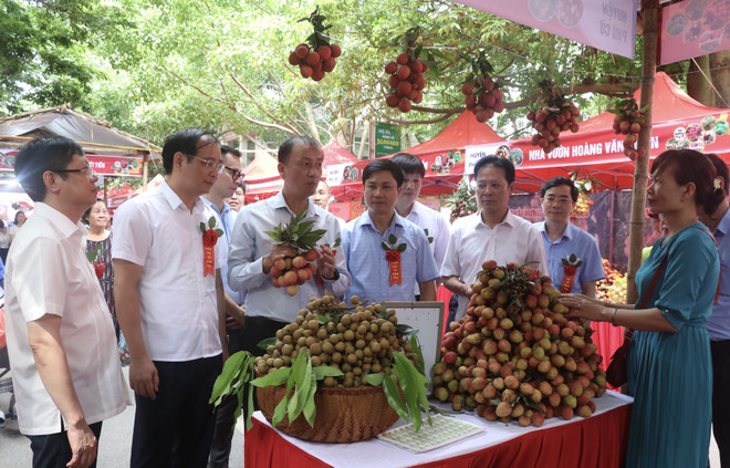 Hung Yen opens litchi fair 2023 ảnh 1 Hung Yen opens litchi fair 2023 ảnh 1