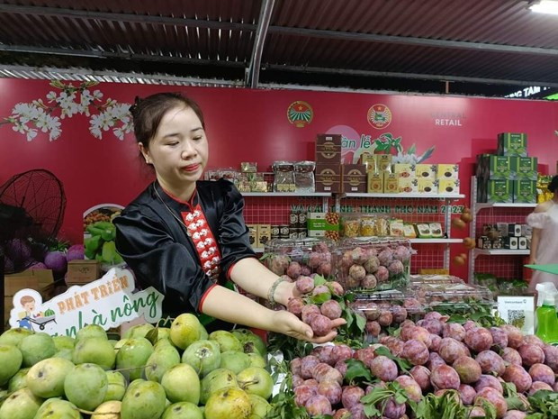 Trade promotion creates stable, sustainable market for agricultural products ảnh 1
