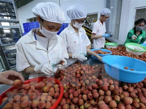 Trade promotion creates stable, sustainable market for agricultural products ảnh 2