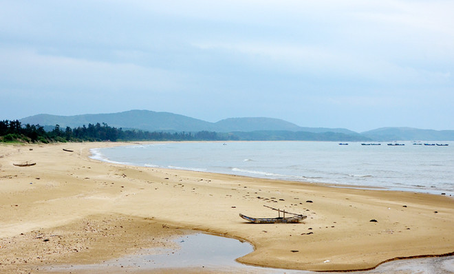 Potential in Ninh Binh's coastal district needs to be wakened ảnh 1