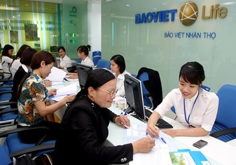 Insurers’ total assets reach over 15 billion USD ảnh 1 Insurers’ total assets reach over 15 billion USD ảnh 1