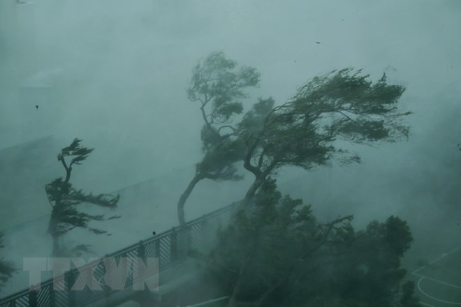 Typhoon Mangkhut wrecks havocs in its way ảnh 1 Typhoon Mangkhut wrecks havocs in its way ảnh 1