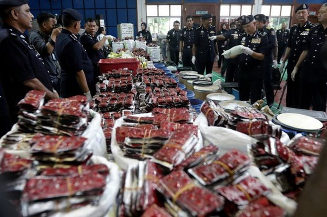 Malaysia seizes drugs worth 17.5 million USD ảnh 1