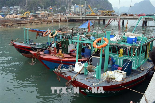 Fishing to be forbidden in Ha Long Bay’s natural reserves ảnh 1