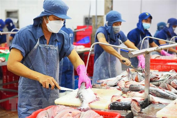 Tra fish exports post strongest growth among fishery products ảnh 1 Tra fish exports post strongest growth among fishery products ảnh 1