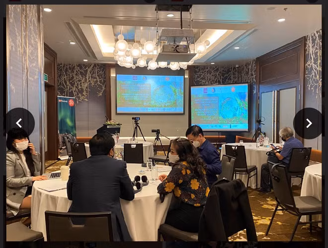 Webinar on multilateral approach to circular economy ảnh 1
