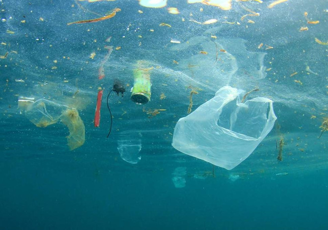Vietnamese, French experts share experience in marine pollution control ảnh 2