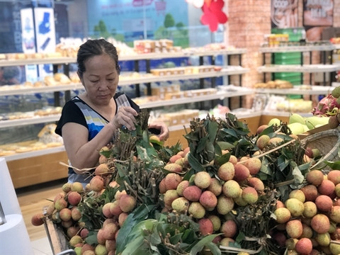 Saigon Co.op takes northern lychees around the country ảnh 1