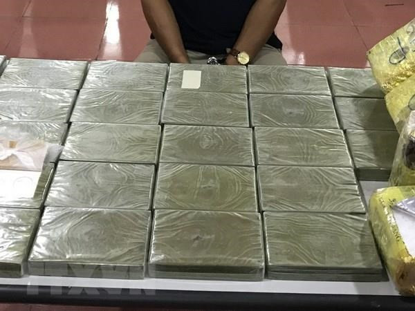 Deputy PM applauds forces for busting big drug ring in Long An ảnh 1