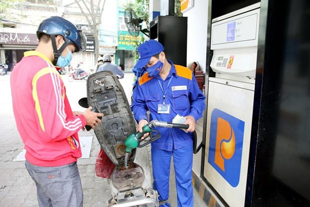 Petrol prices drop in latest review ảnh 1