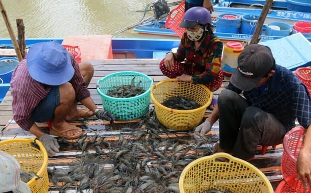 Aquatic product exports decrease in five months ảnh 1