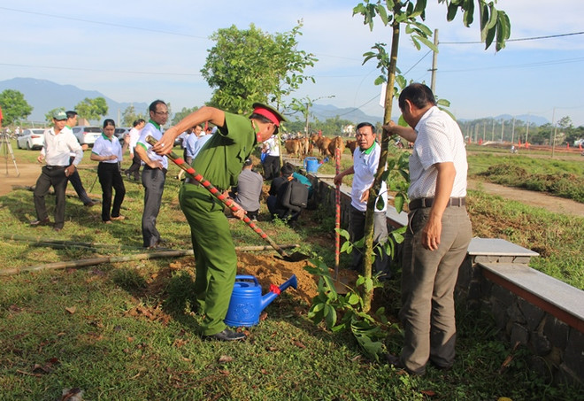Practical activities responding to World Environment Day in Da Nang ảnh 1