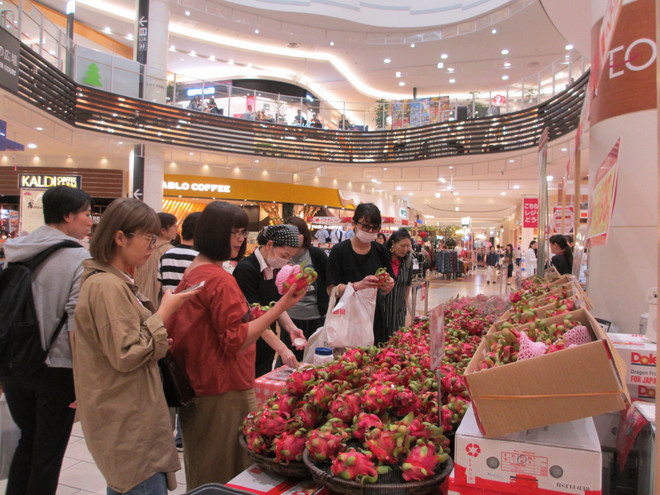 Vietnamese products introduced to Japanese customers ảnh 1