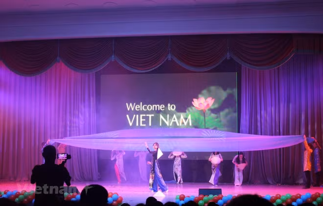 Vietnamese woman shines at beauty contest in Russia ảnh 1
