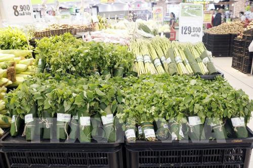 Green consumption campaign kicks off in HCM City ảnh 1