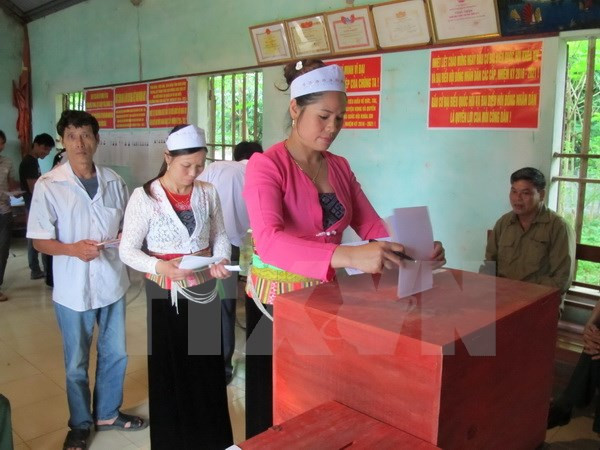 Over 70 percent of voters go to the polls by 11am ảnh 1