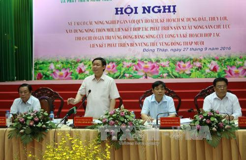 Mekong Delta: Agricultural restructuring needs to follow planning ảnh 1 Mekong Delta: Agricultural restructuring needs to follow planning ảnh 1