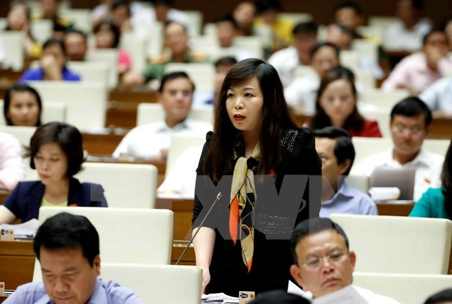 NA deputies canvass bills on property auction, religion ảnh 1