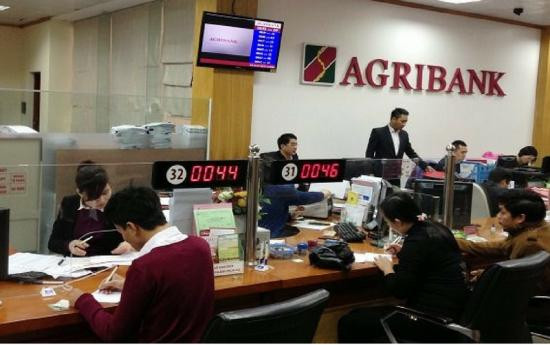 Banks lending big to keep agriculture sector ticking ảnh 1 Banks lending big to keep agriculture sector ticking ảnh 1